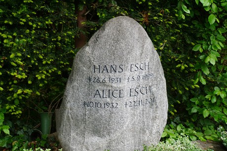 Bad Godesberg
